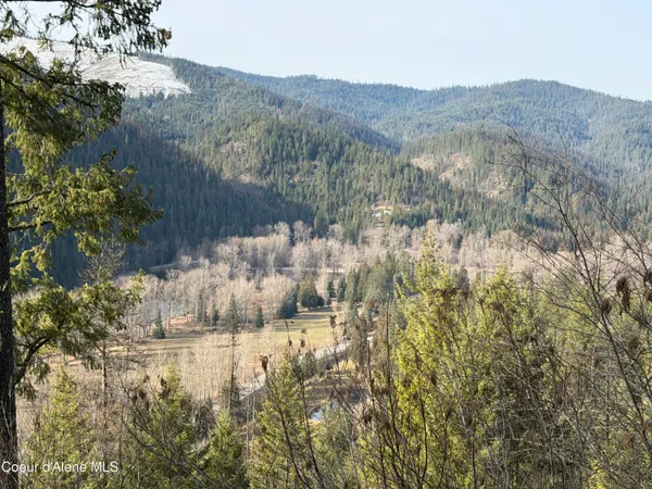 $1,400,000 | Nna Cda River, Kingston, ID 83839