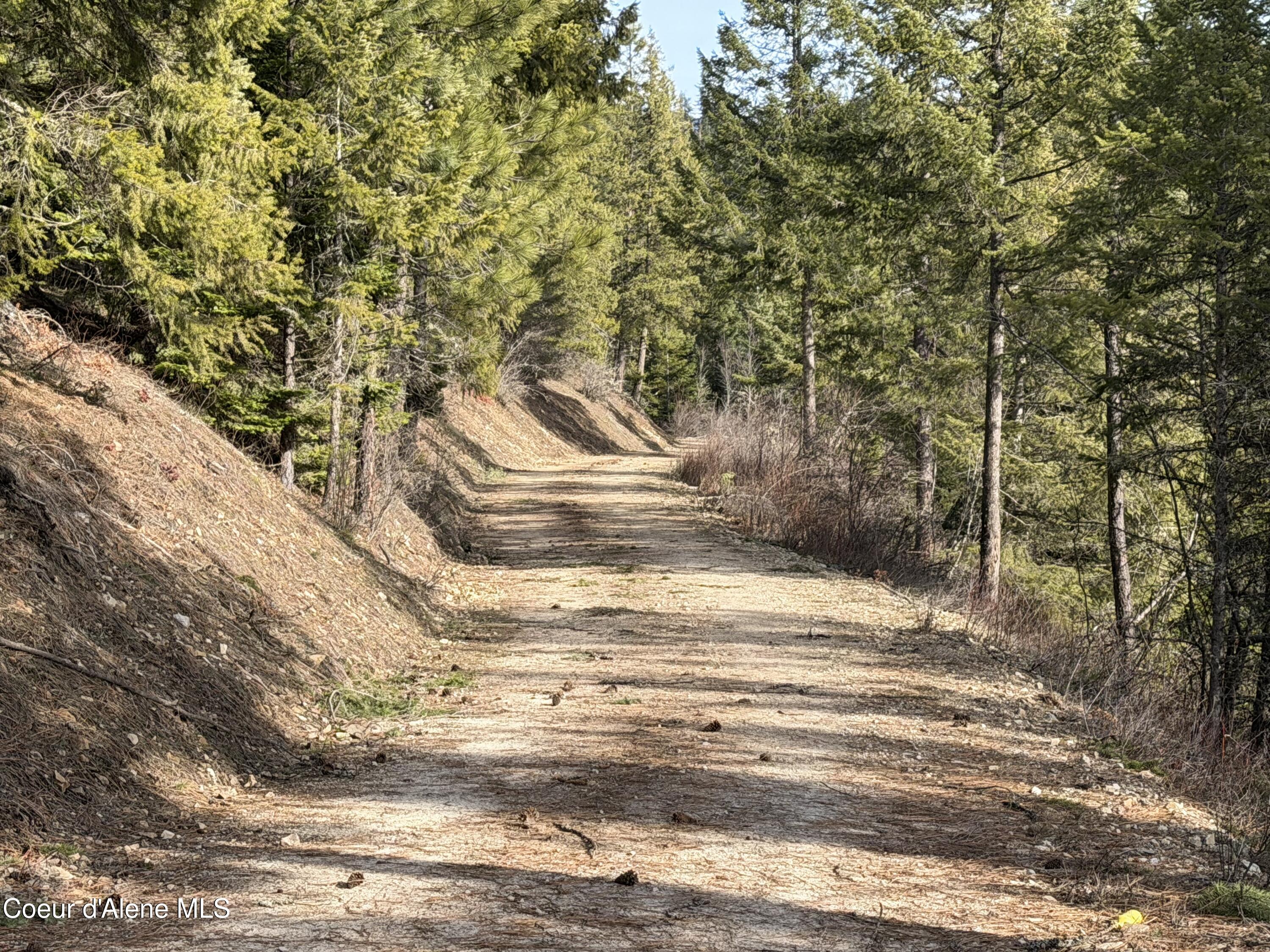 Nna Cda River Kingston, ID 83839 - Photo 13 of 13 IMG_9968