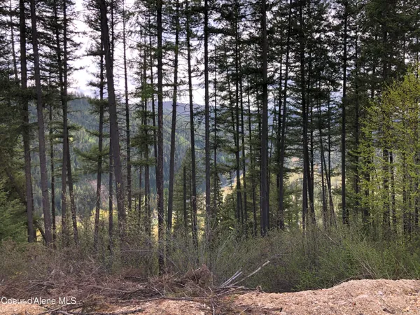 $1,400,000 | Nna Cda River, Kingston, ID 83839
