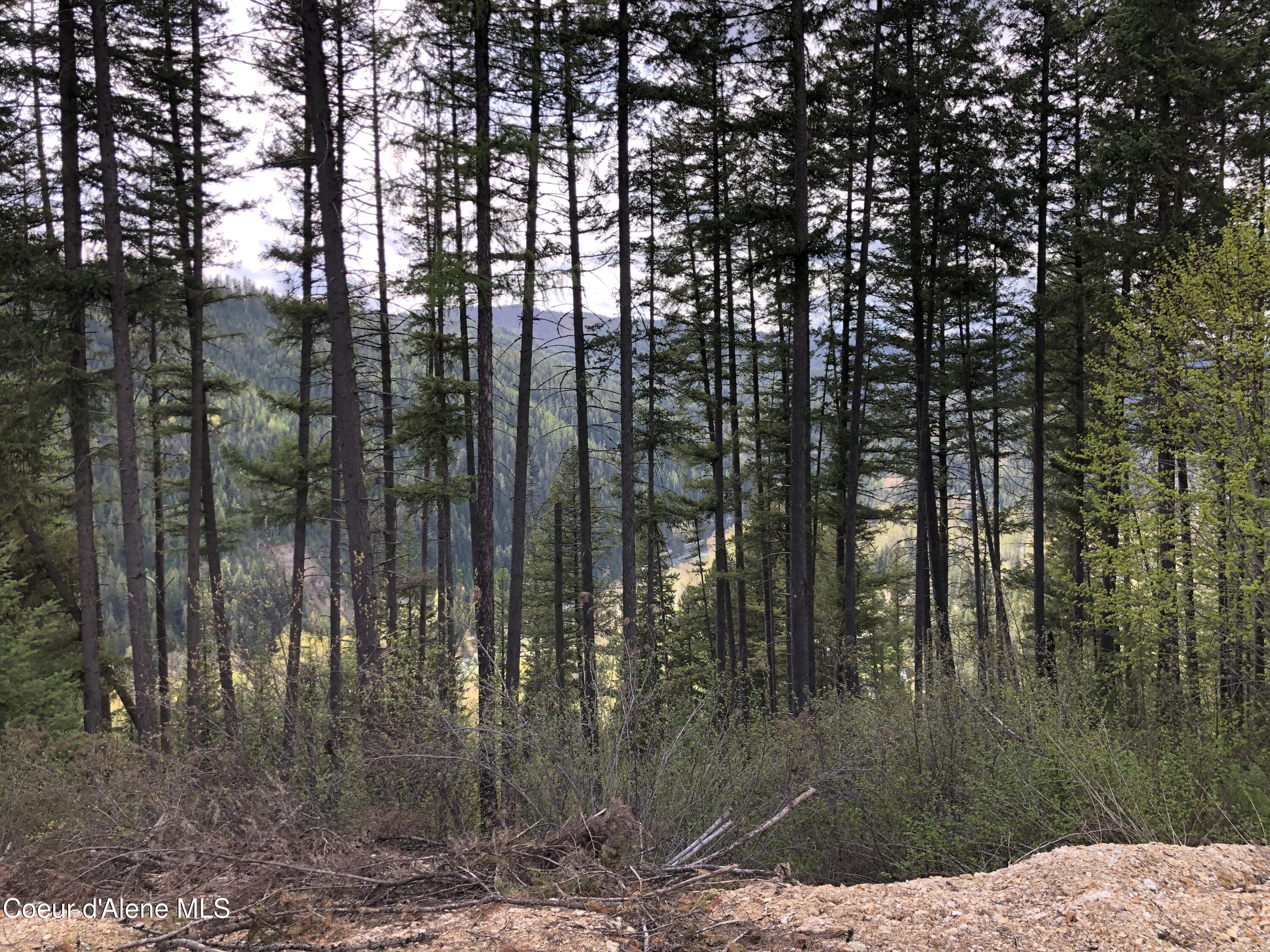 Nna Cda River Kingston, ID 83839 - Photo 4 of 13 IMG_6214 (1)