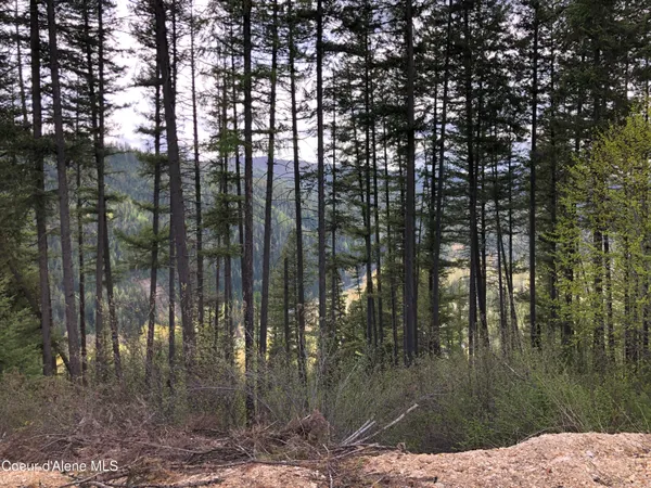 $1,400,000 | Nna Cda River, Kingston, ID 83839