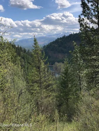 $1,400,000 | Nna Cda River, Kingston, ID 83839