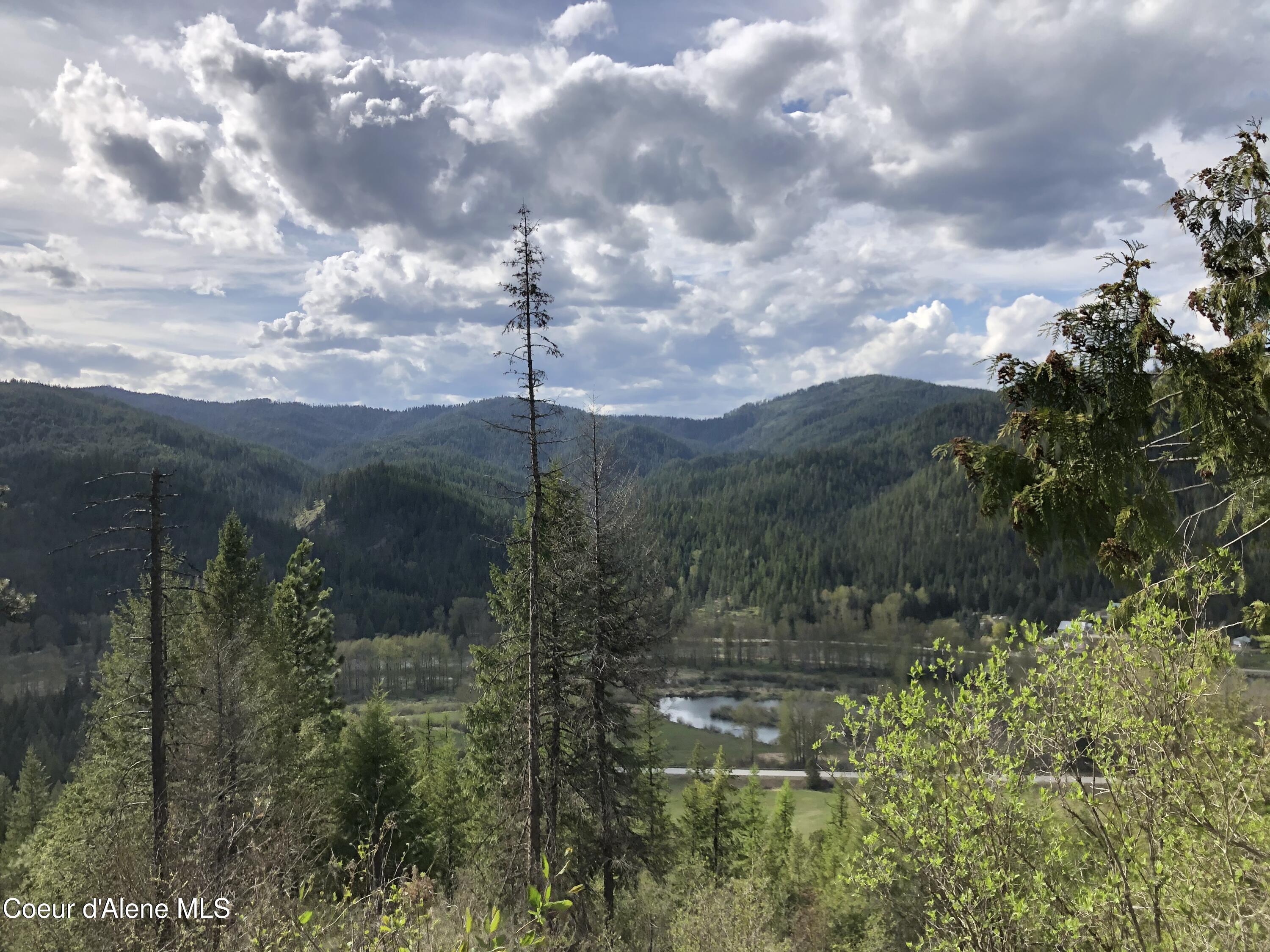 Nna Cda River Kingston, ID 83839 - Photo 8 of 13 IMG_6217