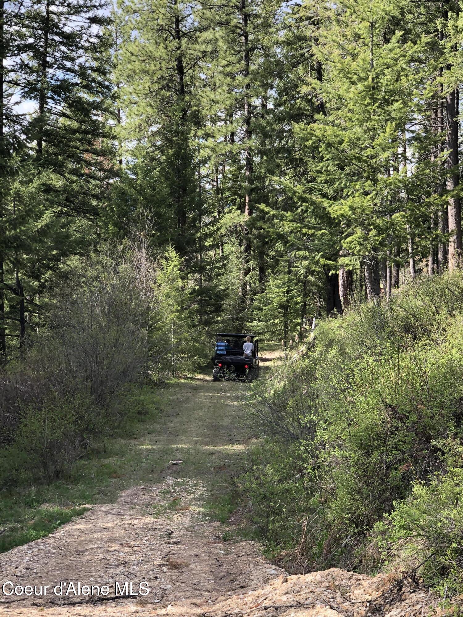 Nna Cda River Kingston, ID 83839 - Photo 9 of 13 IMG_6212