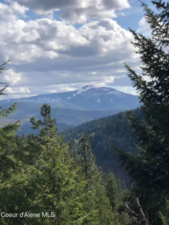 $1,400,000 | Nna Cda River, Kingston, ID 83839