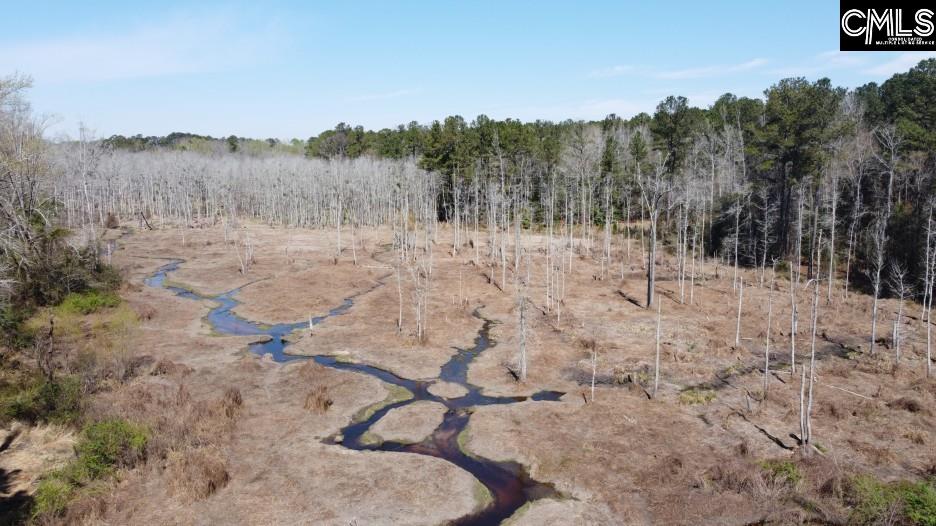1672 Dixired Road Leesville, SC 29070 - Photo 24 of 67