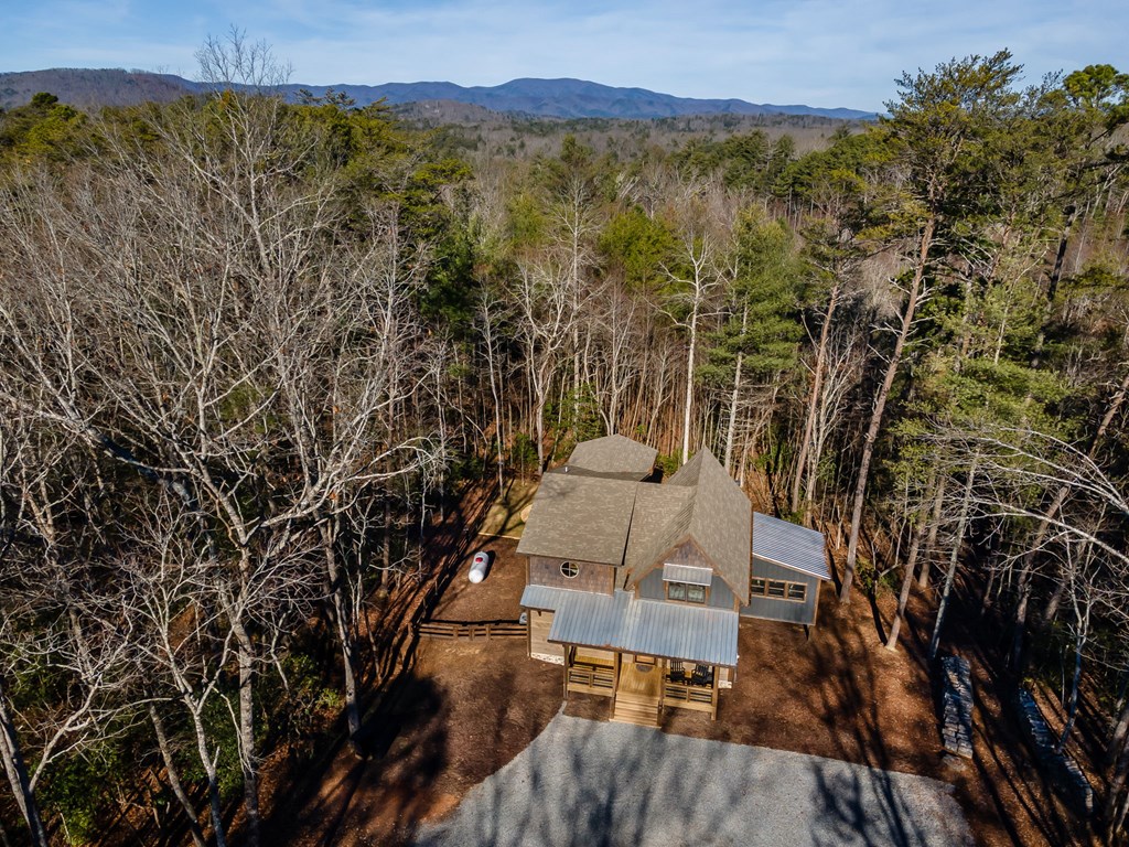 2594 Hwy 2 Blue Ridge Blue Ridge, GA 30513 - Photo 56 of 59 Gallery Image 56