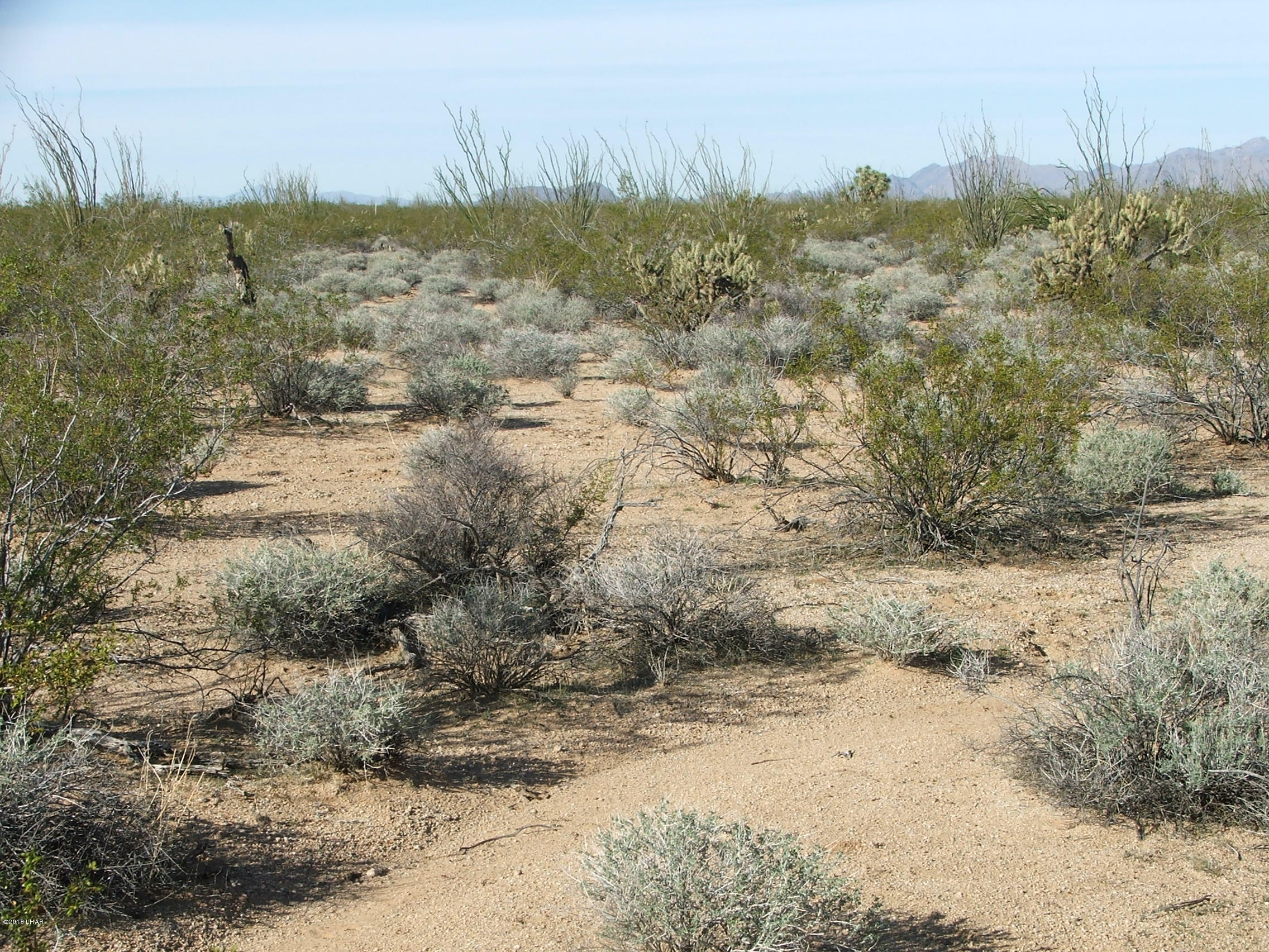 12-5 Duncan/duquesne Roads Yucca, AZ 86438 - Photo 3 of 3 027