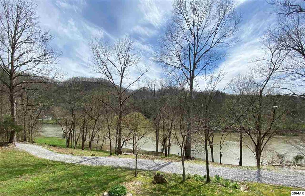 2646 Jackson Ridge Road Tazewell, TN 37879 - Photo 4 of 34 227646-4