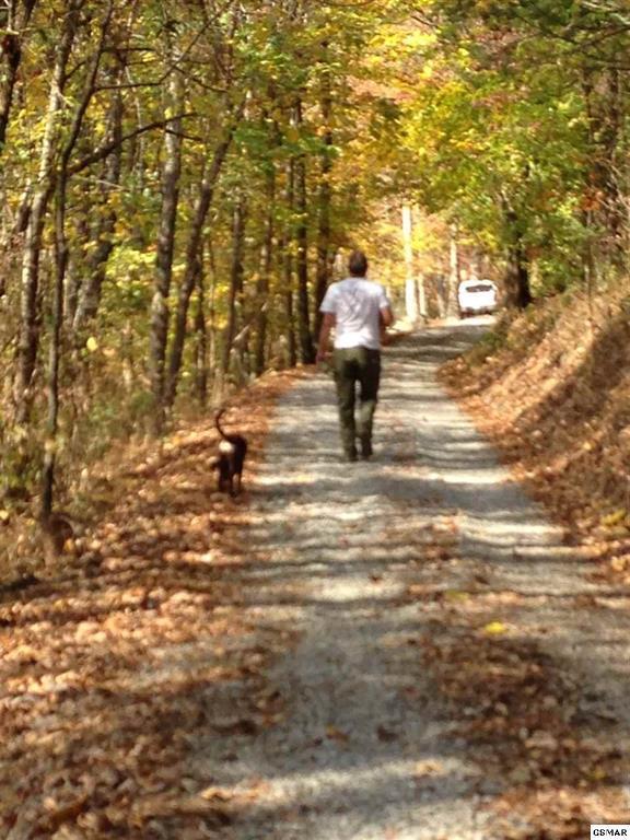 2646 Jackson Ridge Road Tazewell, TN 37879 - Photo 34 of 34 227646-35