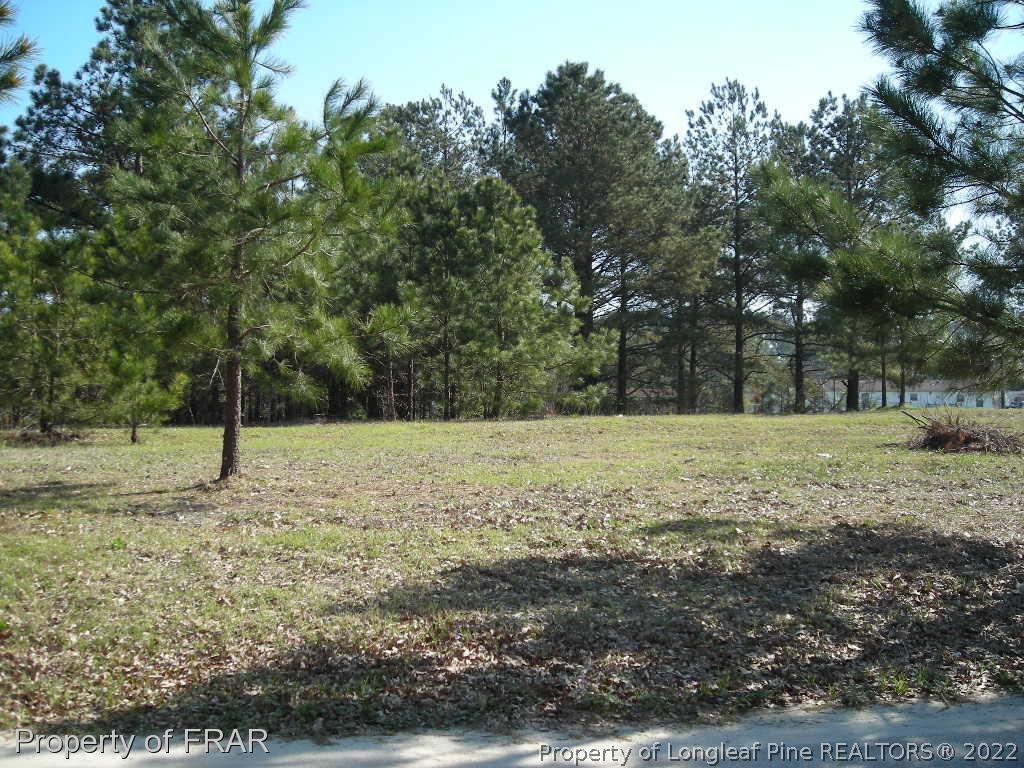 131 Birdsway Road Lumber Bridge, NC 28357 - Photo 1 of 1 Gallery Image 1