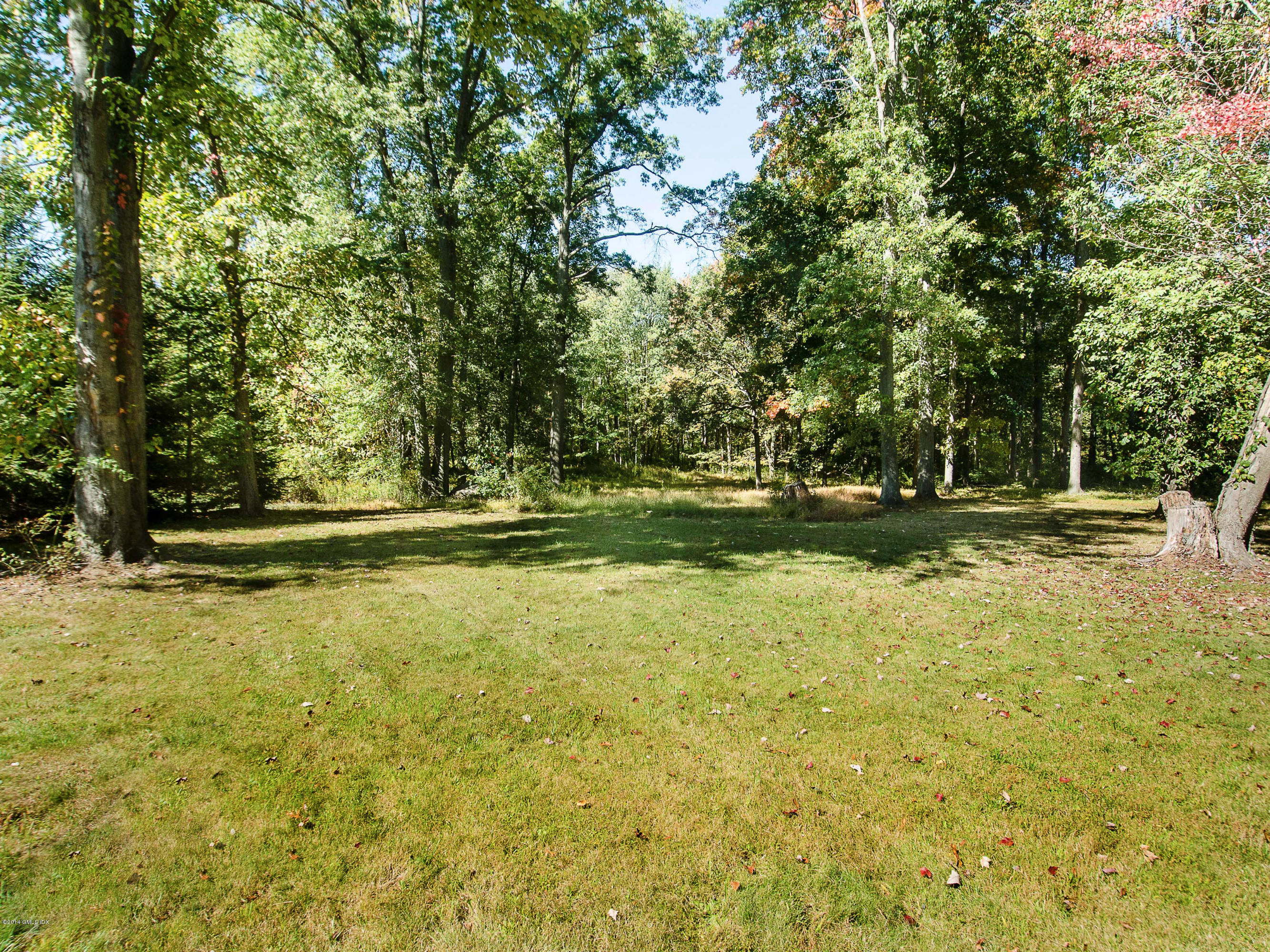 46 Bedford Road Greenwich, CT 06831 - Photo 3 of 7 Back yard facing west224HR_-8974