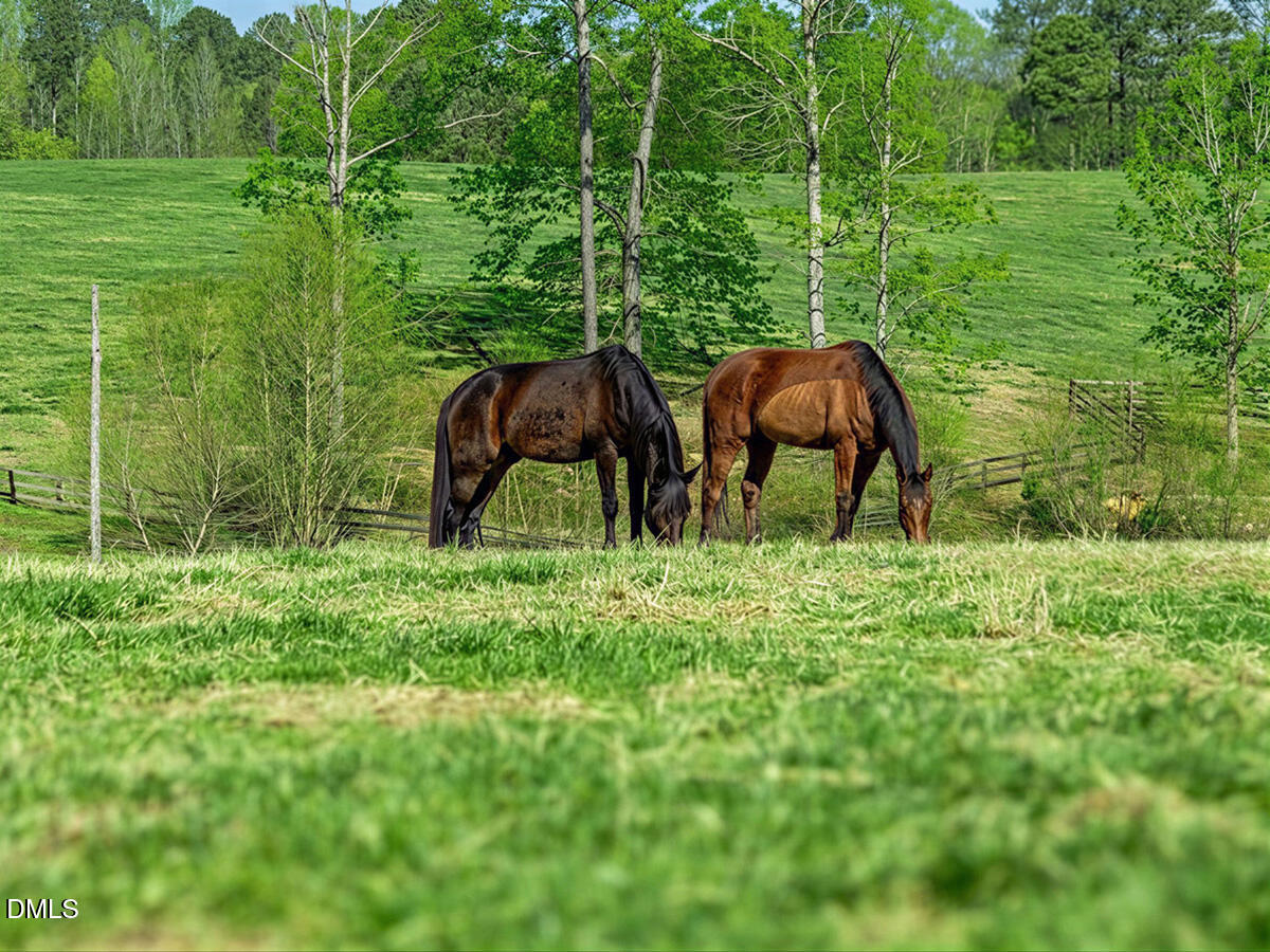 2727 Lower Moncure Road Sanford, NC 27330 - Photo 55 of 88 55