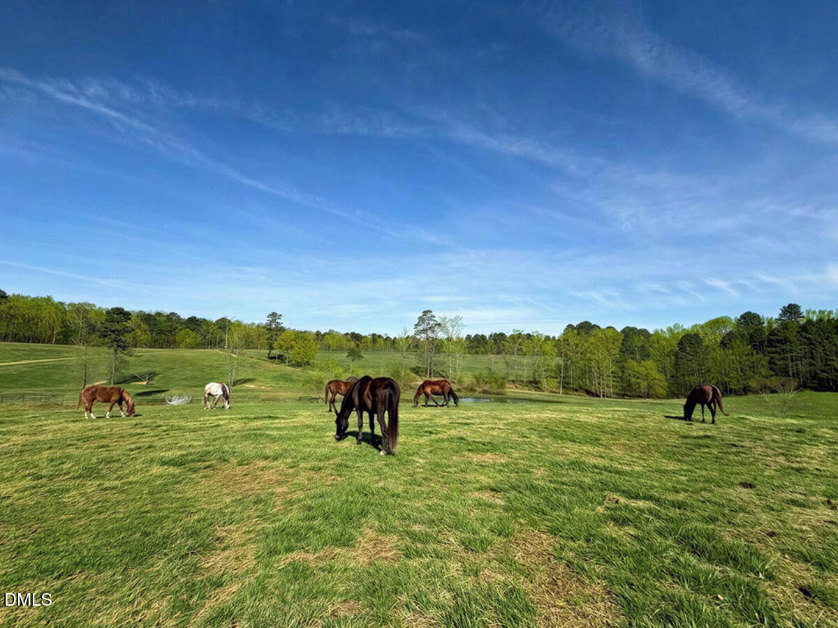 2727 Lower Moncure Road Sanford, NC 27330 - Photo 56 of 88 56