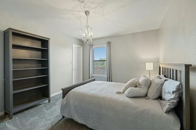 a view of a park with large trees