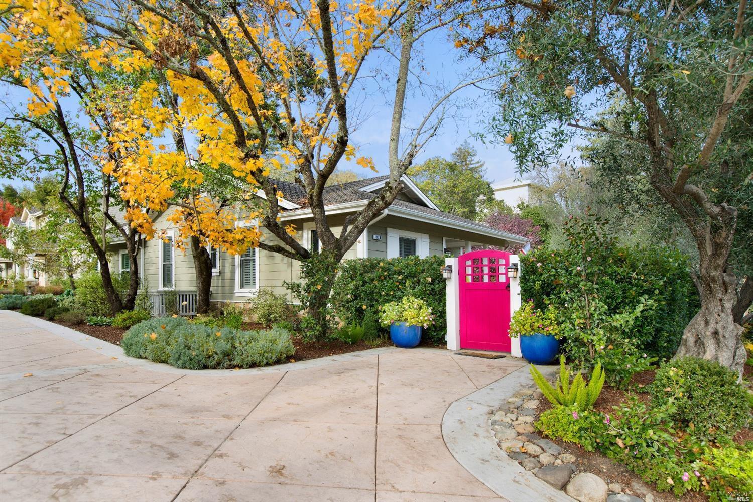 a street view with large trees