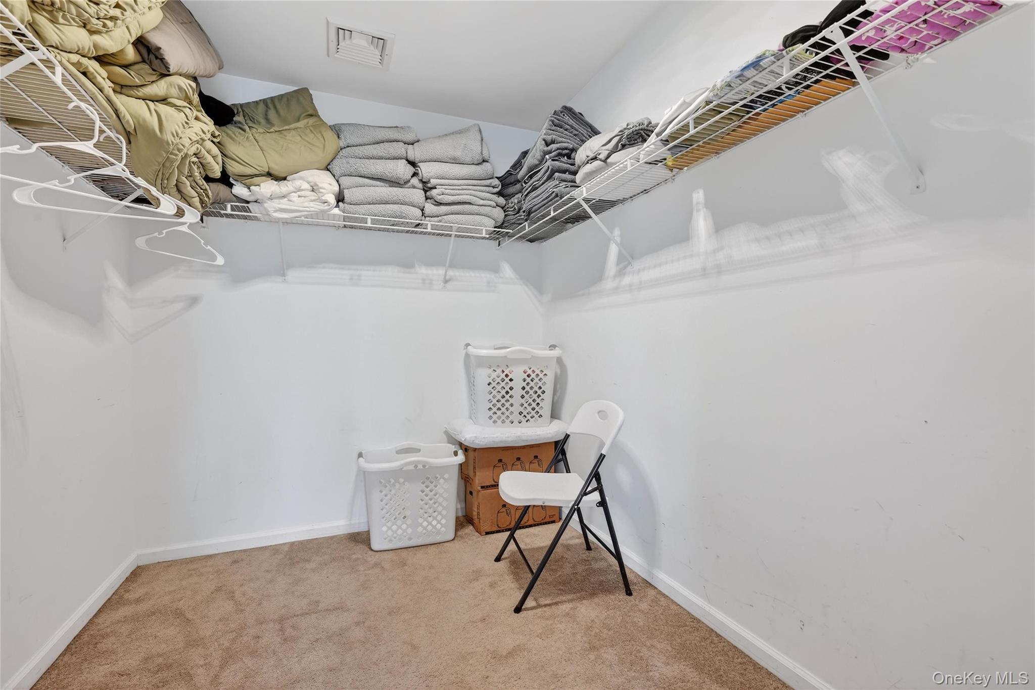 1071 Craigville Road Chester, NY 10918 - Photo 37 of 48 Walk in closet featuring carpet