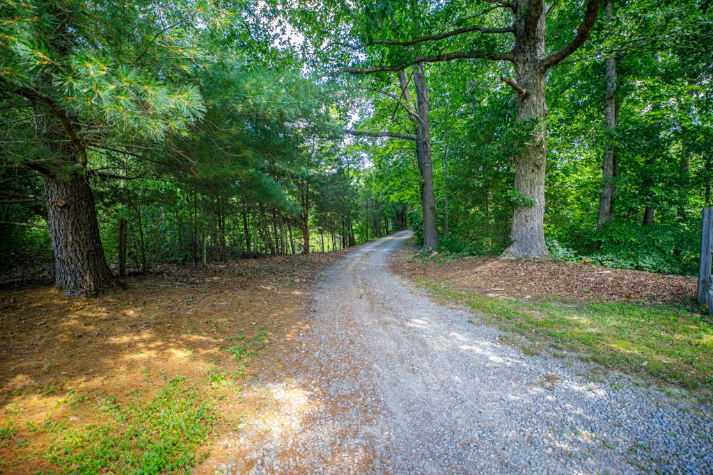 1067 Hinkle Road Kenbridge, VA 23944 - Photo 18 of 54 Gallery Image 18
