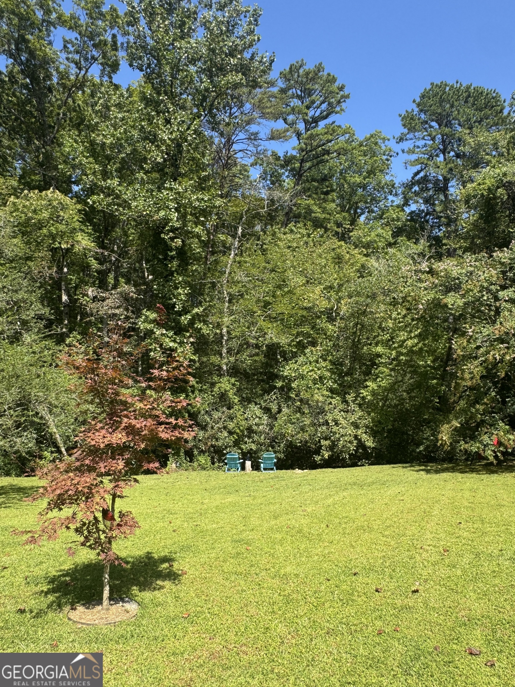 4960 Laurel Lodge Road Clarkesville, GA 30523 - Photo 19 of 21 a view of outdoor space and mountain view