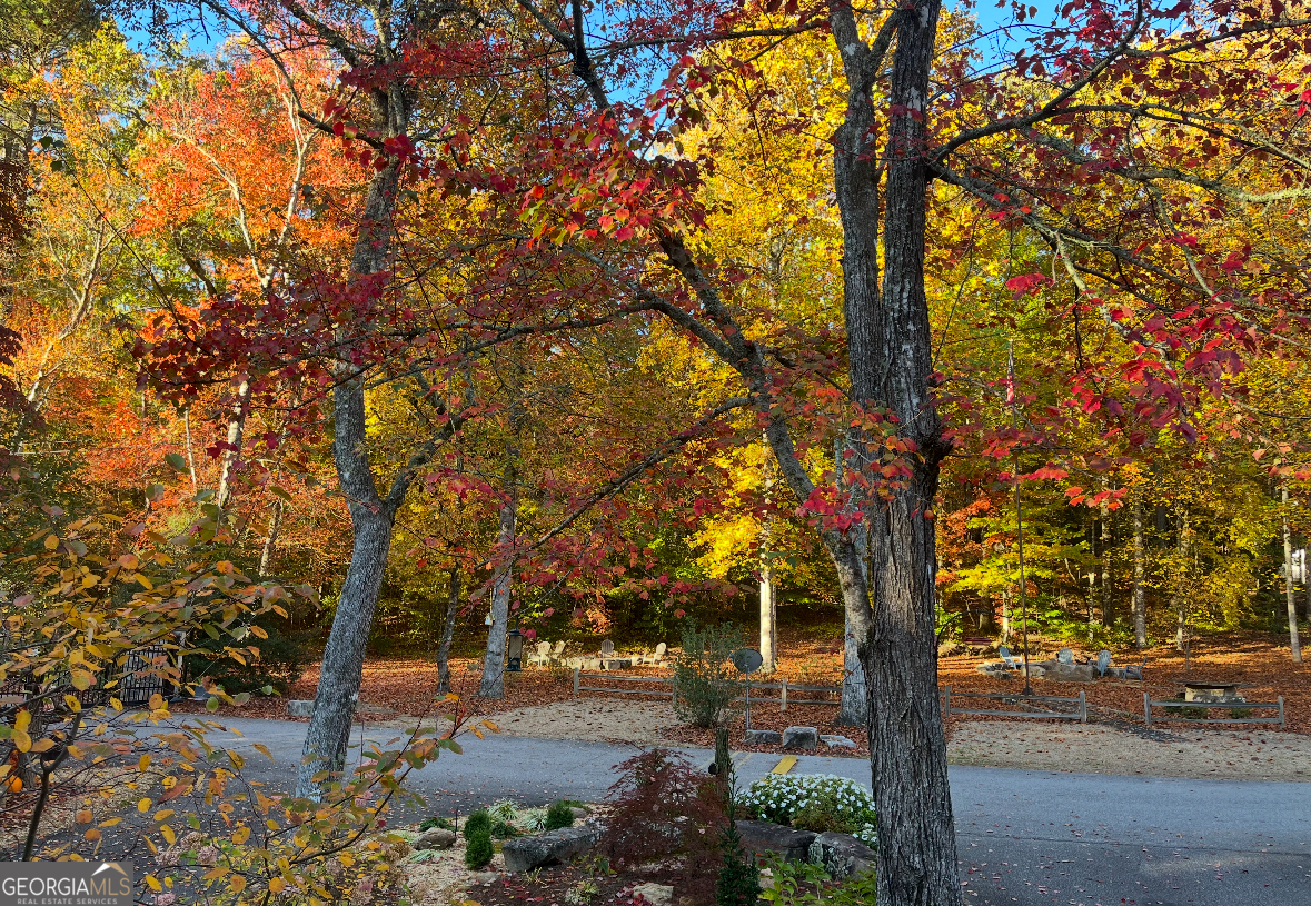 4960 Laurel Lodge Road Clarkesville, GA 30523 - Photo 5 of 19 a view of a street with a tree