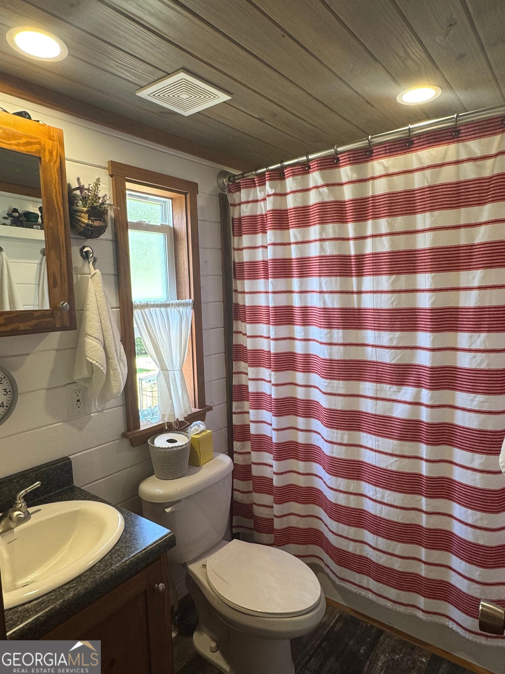 4960 Laurel Lodge Road Clarkesville, GA 30523 - Photo 10 of 21 a bathroom with a sink a toilet a mirror and shower curtain
