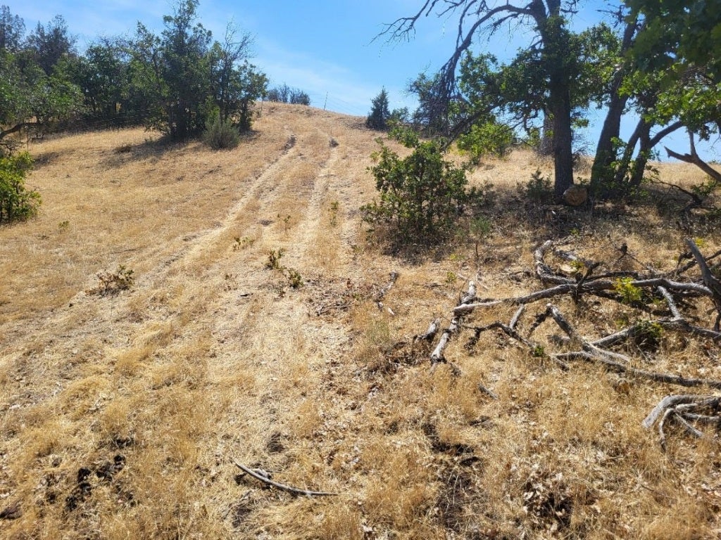 Lot 184 Iron Gate Road Hornbrook, CA 96044 - Photo 4 of 6 Gallery Image 4