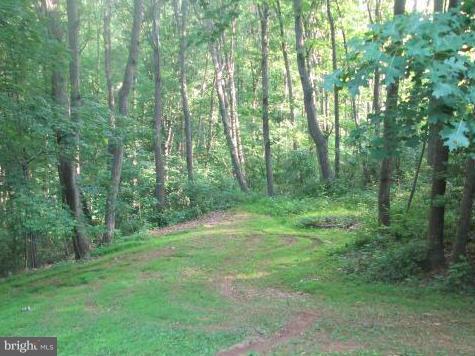 3772 Roop Road New Windsor, MD 21776 - Photo 9 of 10 a view of a lush green forest