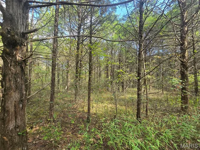 $237,500 | 20 Acres Highway, Cadet, MO 63630