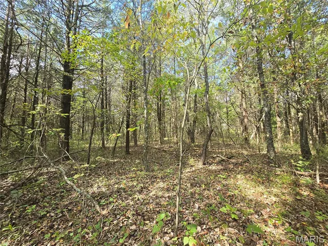 $237,500 | 20 Acres Highway, Cadet, MO 63630