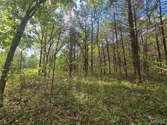 $237,500 | 20 Acres Highway, Cadet, MO 63630
