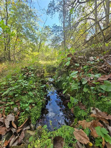 $237,500 | 20 Acres Highway, Cadet, MO 63630