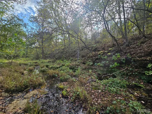 $237,500 | 20 Acres Highway, Cadet, MO 63630