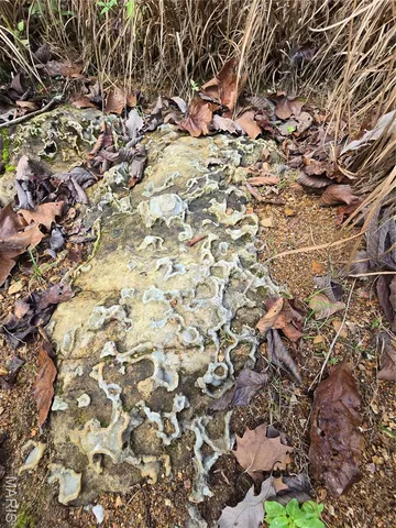 $237,500 | 20 Acres Highway, Cadet, MO 63630