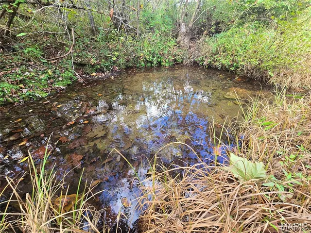 $237,500 | 20 Acres Highway, Cadet, MO 63630