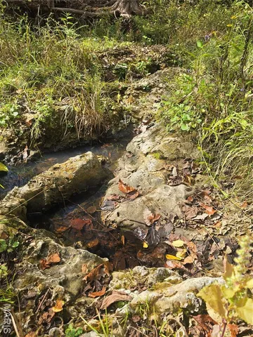 $237,500 | 20 Acres Highway, Cadet, MO 63630