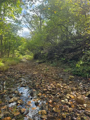 $237,500 | 20 Acres Highway, Cadet, MO 63630