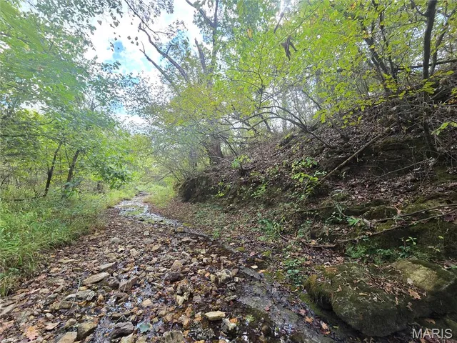 $237,500 | 20 Acres Highway, Cadet, MO 63630