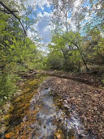 $237,500 | 20 Acres Highway, Cadet, MO 63630