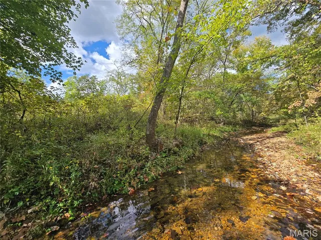 $237,500 | 20 Acres Highway, Cadet, MO 63630