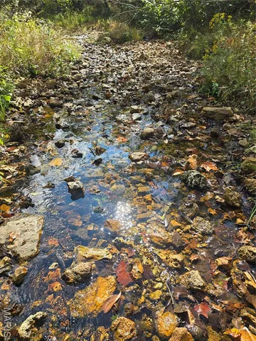 $237,500 | 20 Acres Highway, Cadet, MO 63630