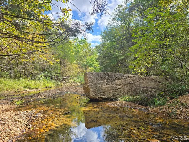 $237,500 | 20 Acres Highway, Cadet, MO 63630