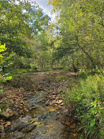 $237,500 | 20 Acres Highway, Cadet, MO 63630