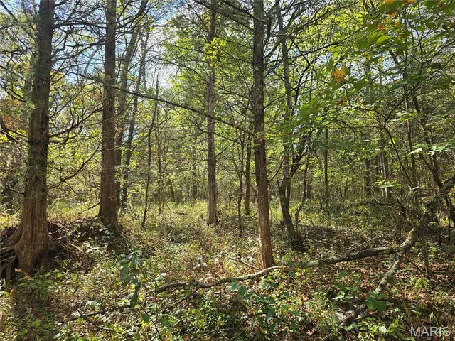 $237,500 | 20 Acres Highway, Cadet, MO 63630