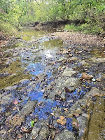 $237,500 | 20 Acres Highway, Cadet, MO 63630