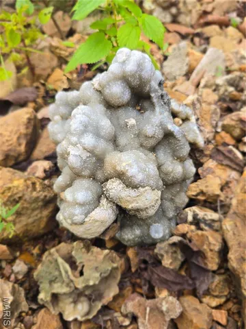 $237,500 | 20 Acres Highway, Cadet, MO 63630