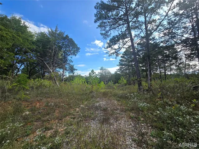 $237,500 | 20 Acres Highway, Cadet, MO 63630