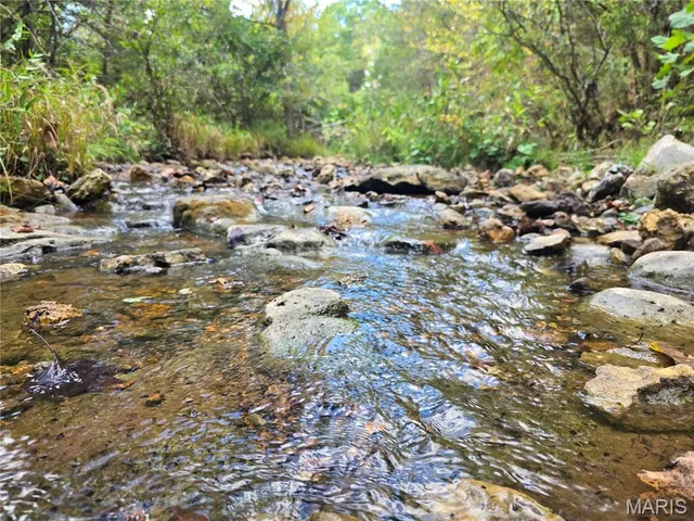 $237,500 | 20 Acres Highway, Cadet, MO 63630