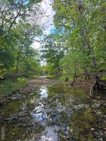 $237,500 | 20 Acres Highway, Cadet, MO 63630