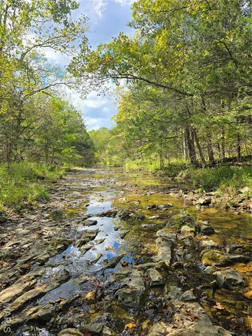 $237,500 | 20 Acres Highway, Cadet, MO 63630