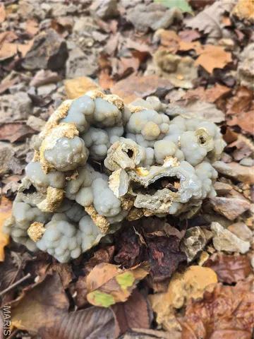 $237,500 | 20 Acres Highway, Cadet, MO 63630